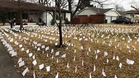 'Not just a number': Woman places flags in front yard to honor those who died from COVID-19