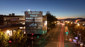 Projecting outrage: California activists shine light on plastic pollution