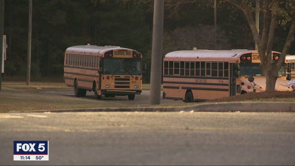 Crossing guard hit and run