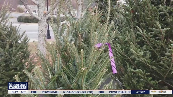 Marietta family business rooted in Christmas tradition