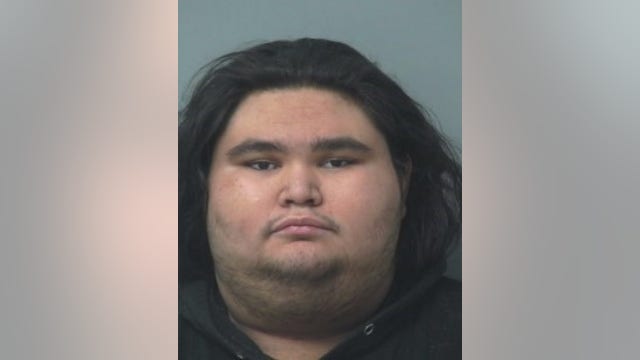 Police: 30 dogs, child found in arrested Gwinnett County man's home