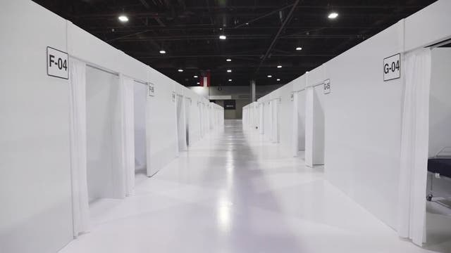 COVID-19 patients fill Georgia hospitals as cases soar