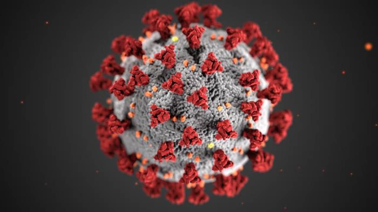 Expert shares tips on how to protect yourself from new, more contagious coronavirus viruses