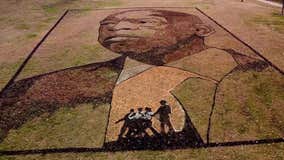 'Earthwork' tribute to John Lewis unveiled in Atlanta