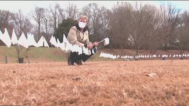 White flags planted in Piedmont Park as tribute to Georgians who have died from COVID-19