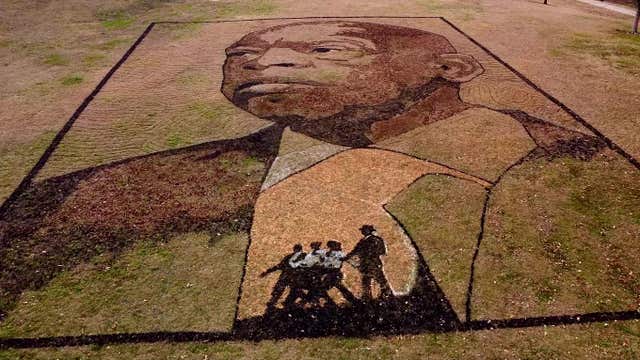 'Earthwork' tribute to John Lewis unveiled in Atlanta
