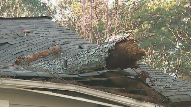Baby girl rescued after tree falls on DeKalb County home