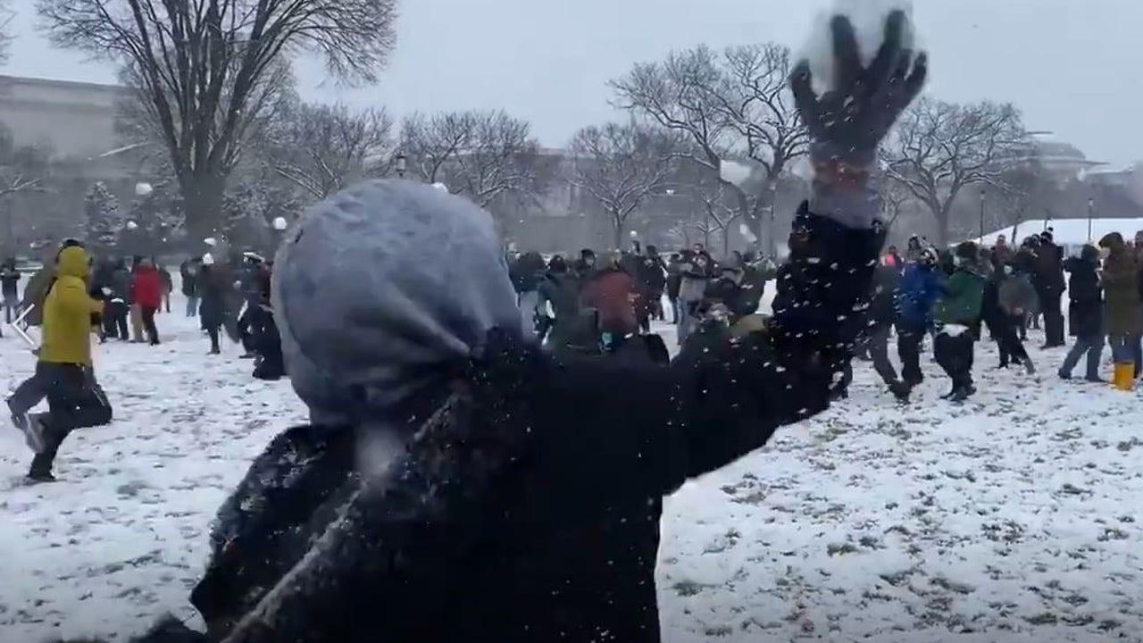 Epic snowball fight breaks out on National Mall after DC's first big