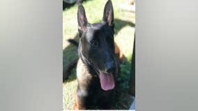 Griffin PD mourns death of 4-year-old K9 officer