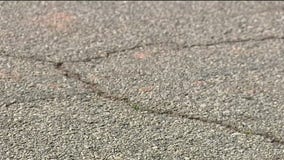 Archaeologists validate deacon's claims that county paved over Black cemetery