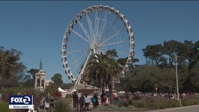 Ferris wheel showdown: Critics say San Francisco attraction causes light pollution