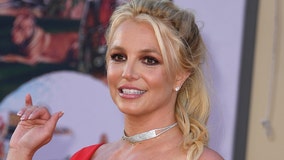 Judge: Britney Spears' dad, trust company must develop investment plan, budget for her benefit