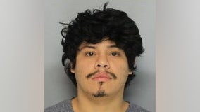 Hall County deputies arrest car break-in suspect