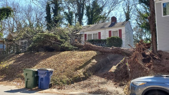 High winds topple large tree in southwest Atlanta