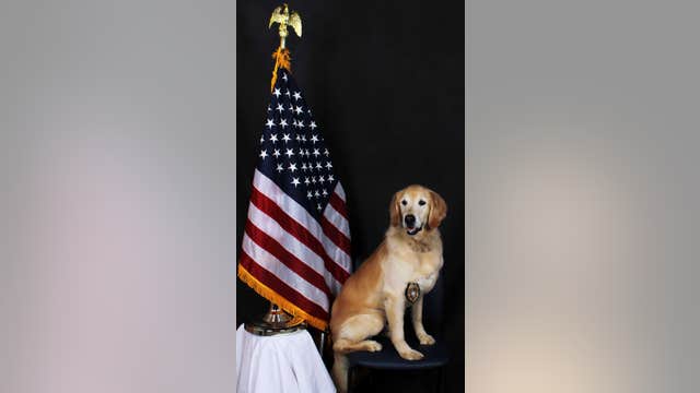 Retired Gwinnett County K9 officer dies