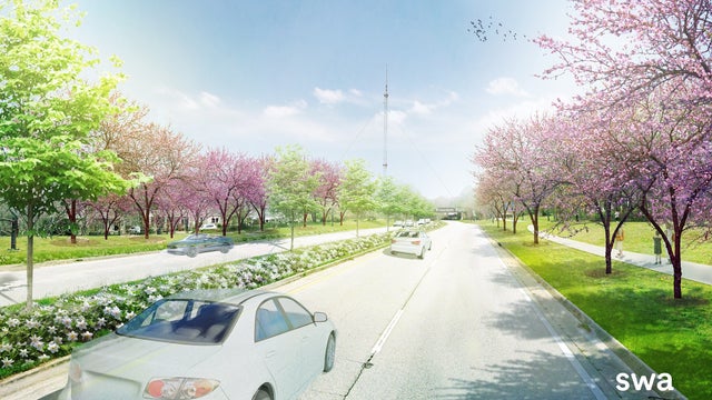 Tree tribute planted in honor of John Lewis in Atlanta park