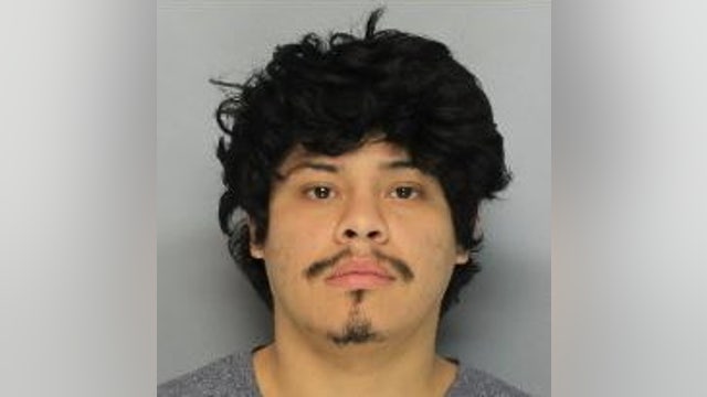 Hall County deputies arrest car break-in suspect