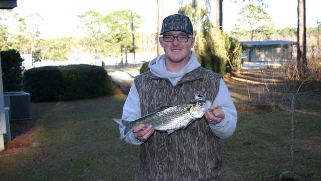 Georgia angler breaks 25-year-old fishing record for hickory shad