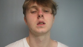 Suspect, 18, facing charges in hit-and-run