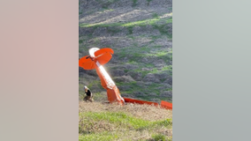 Pilot killed, thousands without power after single-engine plane crash near Cave Spring, officials say