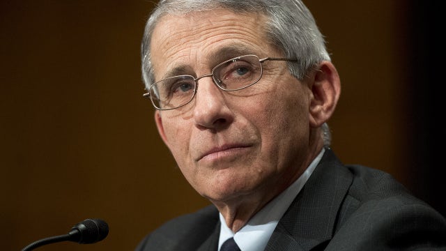 Fauci believes COVID-19 had time to 'adapt in the wild' in early days