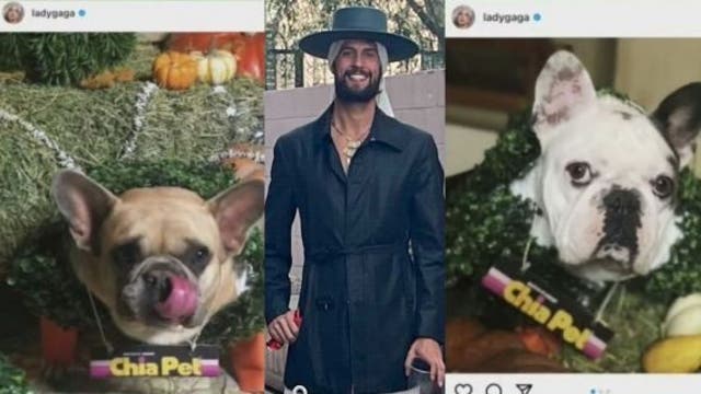 Lady Gaga's dog walker Ryan Fischer back home after Hollywood shooting, dognapping