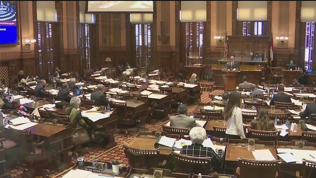 Georgia senator quits for state job, prison chief steps down