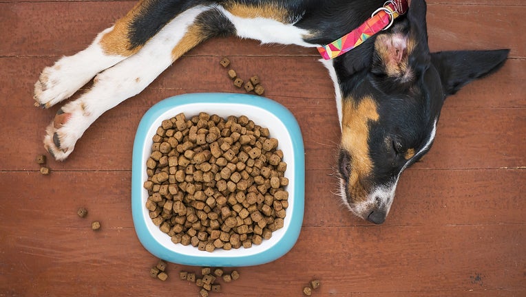 FDA Dog food recalled over possible salmonella listeria