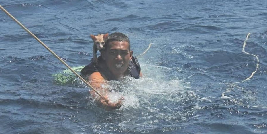 Royal Thai Navy rescues cats from sinking ship | FOX 5 Atlanta