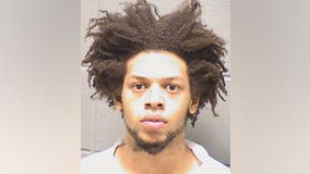 Man used ‘samurai knife’ to kill elderly family member in Bellwood: prosecutors