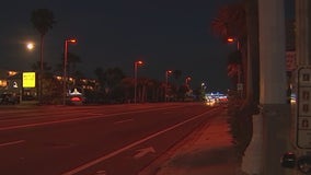 Treasure Island installs sea turtle-friendly lights in time for hatchling season