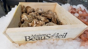 Seafood 101 with Brookhaven’s new Kathleen’s Catch