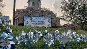 More pinwheels spinning for Child Abuse Awareness Month in Cartersville