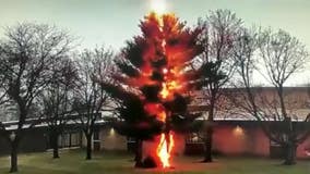 Tree struck, shattered by lightning outside Wisconsin high school, video shows