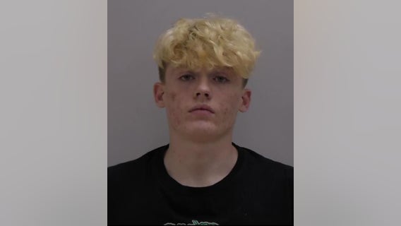 Police: 2 Cartersville teens charged with multiple car break-ins