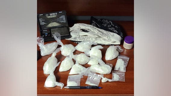 Police seize about 295 grams of meth in Lumpkin County bust