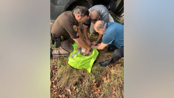 Baby rescued after being found in Michigan woods