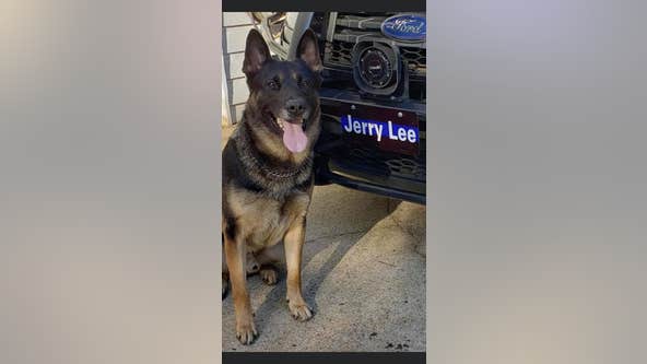 K-9 shot, suspect dead after police pursuit in Douglasville