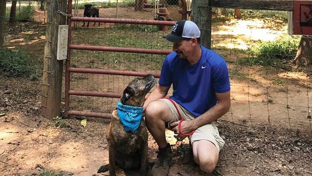 Georgia couple celebrates decade of fostering dogs