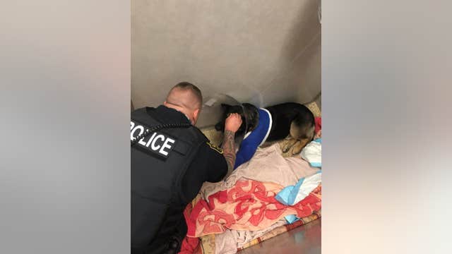 Shot K-9 officer expected to be released Tuesday