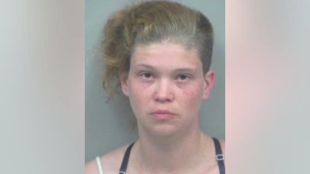 Driver of van crash that killed 6 people facing vehicular homicide charges