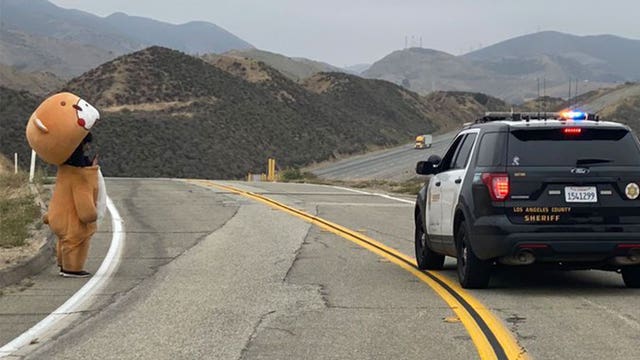 Life-size teddy bear named 'Bearsun' walking from Los Angeles to San Francisco