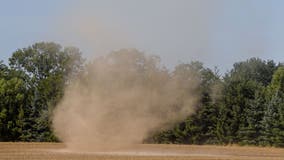 Viral video shows 70-pound dog being picked up, swirled around by possible dust devil