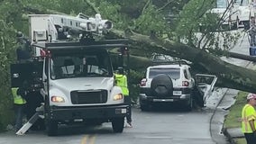 Douglasville restaurant owner killed by falling tree during storm