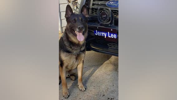 Shot Austell K-9 officer will lose leg, police say