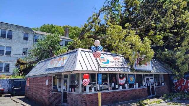 Famous Atlanta restaurant badly damaged by fallen tree