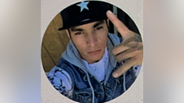 Photo of aggravated assault suspect in Gwinnett County released by police