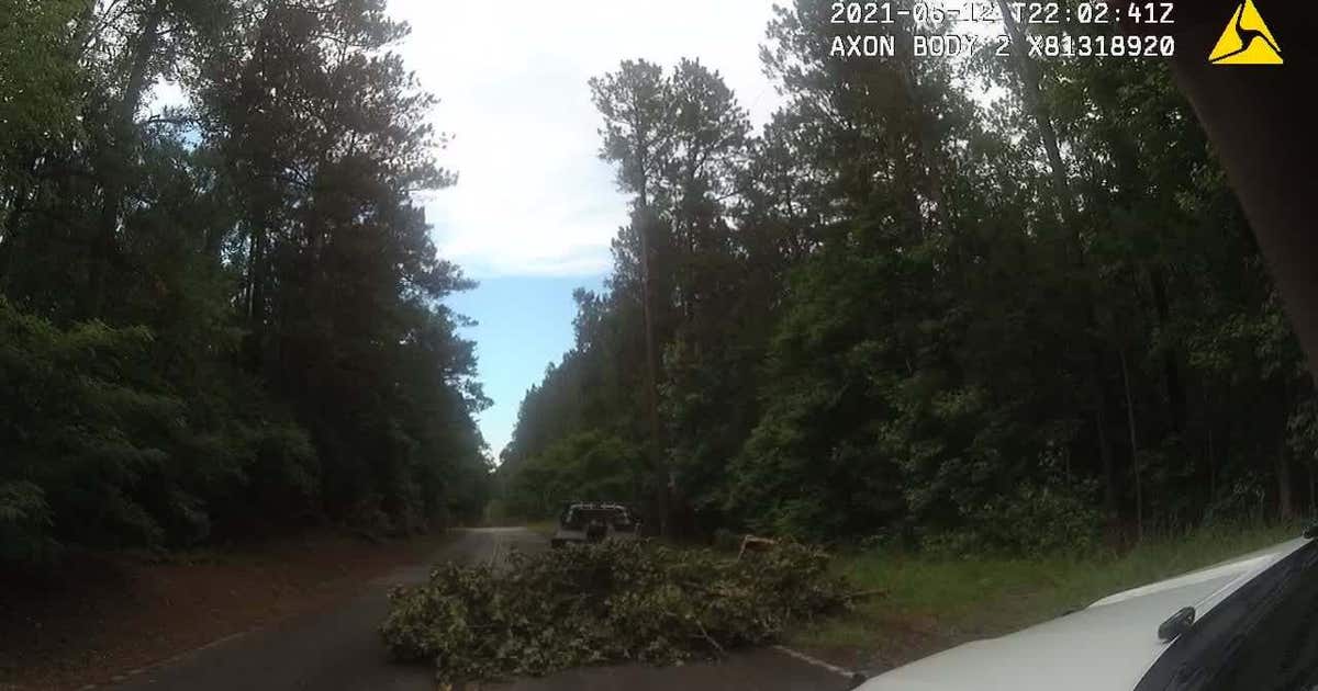Police: Man dumping yard debris on road knocks down stop sign | FOX 5 ...