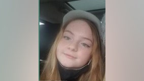 Carroll County teen last seen getting into minivan, officials say