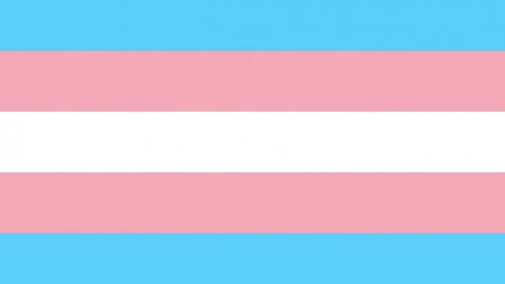 Ban on transgender sports passes despite appeal from senator